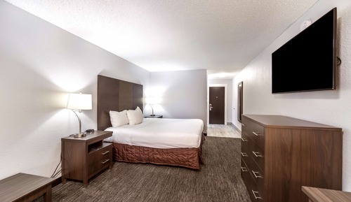 Room, 1 King Bed