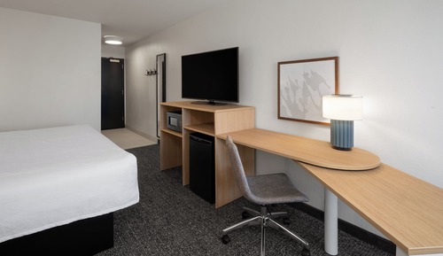 Room, 1 King Bed with Sofa bed