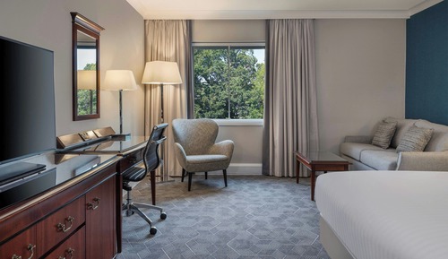 Superior Room, 1 King Bed with Sofa bed