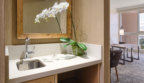 Ocean View Suite 1 Bedroom 1 King Bed