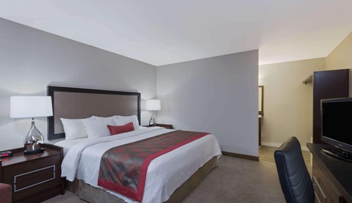 Room, 1 King Bed, Non Smoking