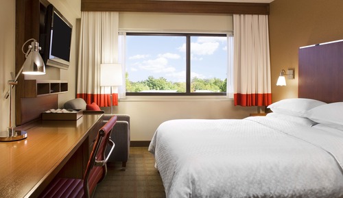 Room, 1 Queen Bed with Sofa bed