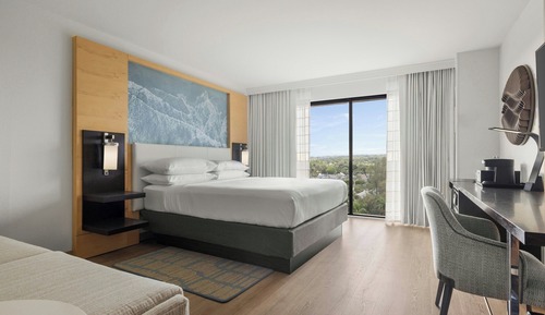 Deluxe Room, 1 King Bed with Sofa bed