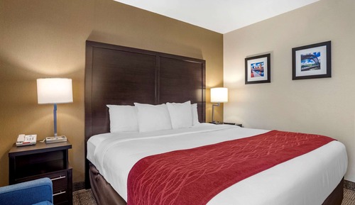 Standard Room, 1 King Bed, Non Smoking