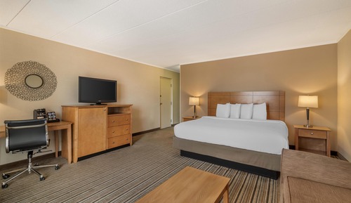 Standard Room, 1 King Bed, Non Smoking, Balcony (with Sofabed)