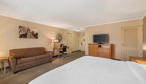 Standard Room, 1 King Bed, Non Smoking, Refrigerator & Microwave (with Sofabed)