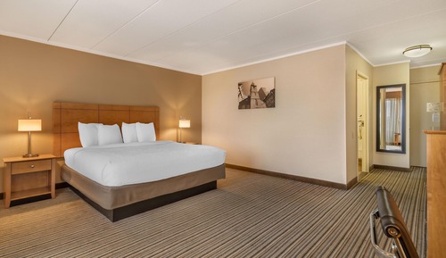 Standard Room, 1 King Bed, Accessible, Refrigerator & Microwave