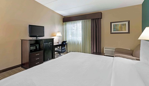 Standard Room, 1 King Bed, Non Smoking (with Sofabed)
