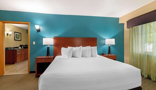 Suite, 1 King Bed, Non Smoking, Kitchenette (Separate Living Room)