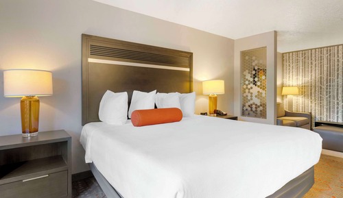 Suite, 1 King Bed, Accessible, Refrigerator & Microwave (with Sofabed)