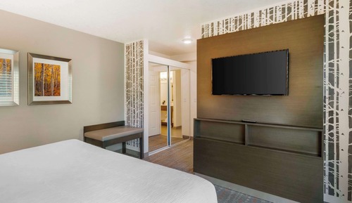 Suite, 1 King Bed, Non Smoking, Kitchenette (with Sofabed)