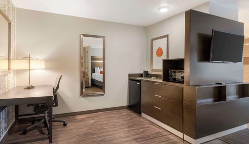 Suite, 1 King Bed, Non Smoking, Refrigerator & Microwave (Pet Friendly;with Sofabed)