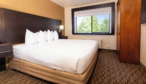 1 Bedroom King bed Suite