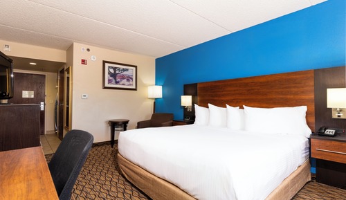 Standard Single Room, 1 King Bed, Bathtub Grab Bars
