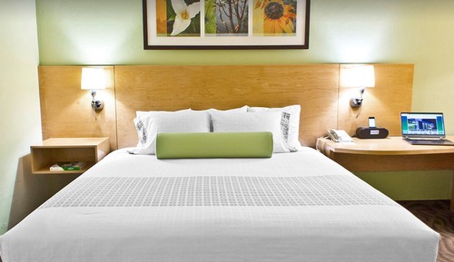 Standard Room, 1 King Bed, Non Smoking, Refrigerator & Microwave