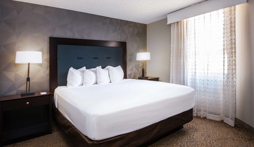 Suite, 1 King Bed, Accessible (Mobility & Hearing, Roll-in Shower)