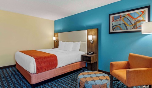 Standard Room, 1 King Bed, Accessible, Non Smoking