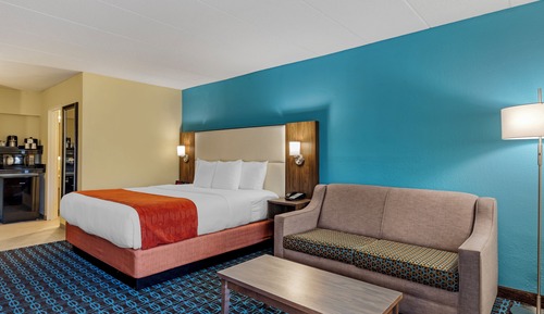 Standard Room, 1 King Bed, Non Smoking, Refrigerator & Microwave (with Sofabed)