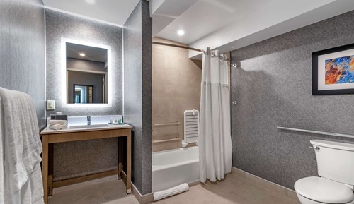 Room, 1 King Bed, Non Smoking (Roll-In Shower)