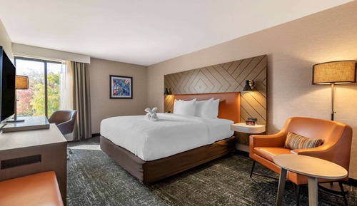 Standard Room, 1 King Bed, Bathtub, Non Smoking