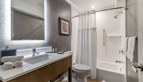 Room, 1 Deluxe King with Sofa bed, Bathtub, Non Smoking (Upgrade)