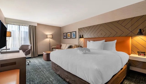 Room, 1 Deluxe King Bed with Sofa bed, Walk In Shower, Non Smoking (Upgrade)