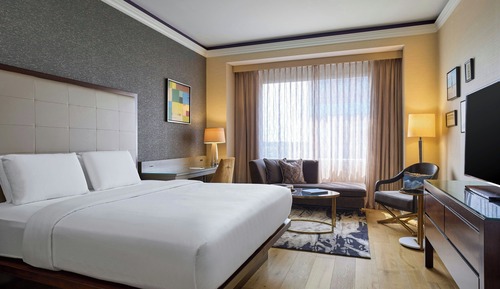 Room, 1 King Bed (Mobility Accessible, Roll-In Shower)