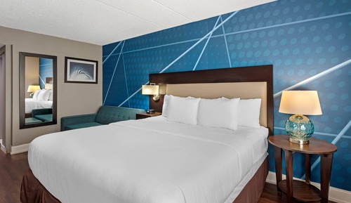 Room, 1 King Bed, Non Smoking