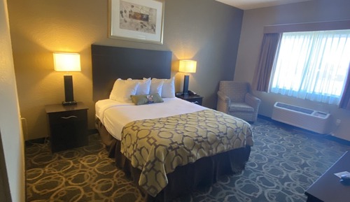 Standard Room, 1 Queen Bed