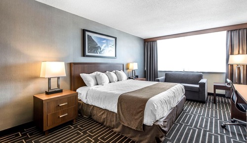 Standard Room, 1 King Bed, City View