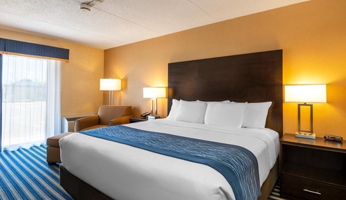 Room, 1 King Bed, Non Smoking (Main Floor)