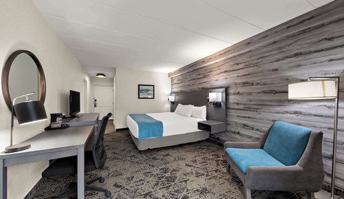 Standard Room, 1 King Bed, Accessible, Refrigerator & Microwave