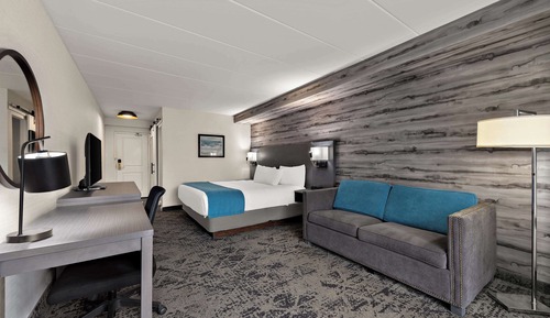Standard Room, 1 King Bed, Non Smoking, Balcony (Walk-in Shower;with Single Sofabed)