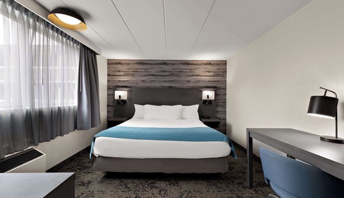 Standard Room, 1 King Bed, Non Smoking, Refrigerator & Microwave (Walk-in Shower)