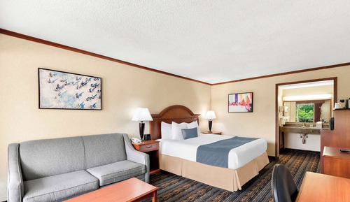 Standard Room, 1 King Bed, Non Smoking, Refrigerator & Microwave (with Sofabed)