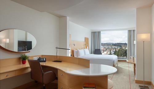 Room, 1 King Bed (Relaxation)