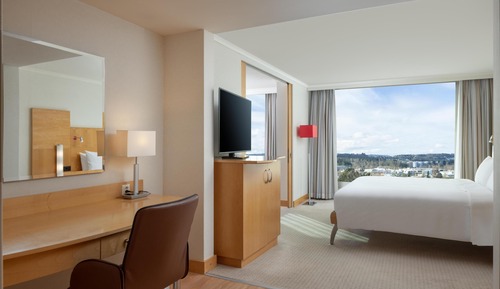 Suite, 1 King Bed