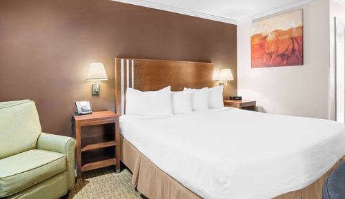 Standard Room, 1 King Bed, Accessible, Refrigerator & Microwave (Walk-in Shower)