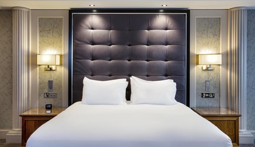 King, Suite, 1 Bedroom