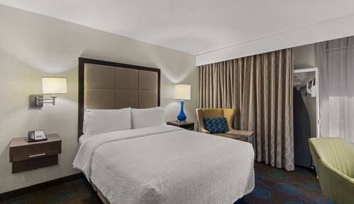 Room, 1 Queen Bed, Accessible, Non Smoking