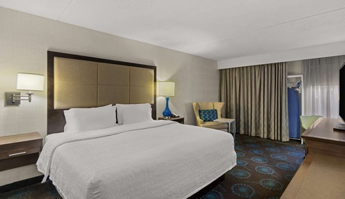 Standard Room, 1 King Bed