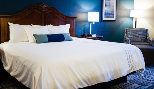 Standard Room, 1 King Bed, Refrigerator & Microwave, Pool View (2nd Floor;with Sofabed)