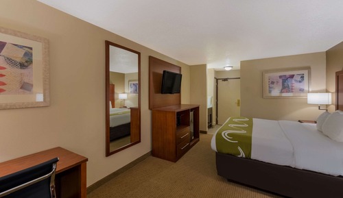 Standard Room, 1 King Bed with Sofa bed, Non Smoking