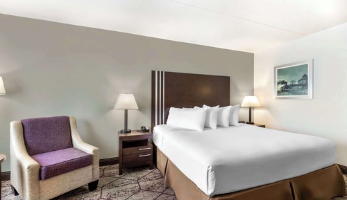 Standard Room, 1 King Bed, Non Smoking