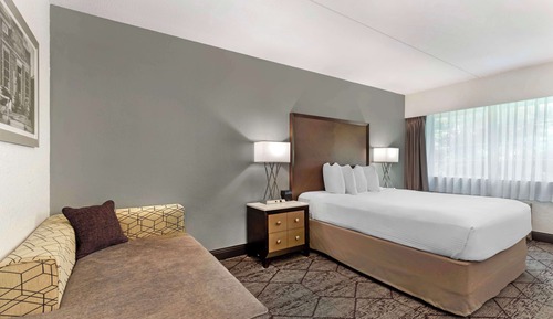 Standard Room, 1 Queen Bed, Non Smoking, Pool View