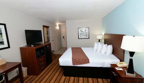Executive Room, 1 King Bed, Non Smoking, with Pull out couch, with Refrigerator & Microwave