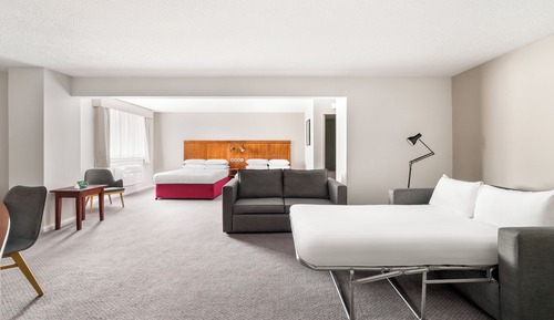 Suite, 1 King Bed with Sofa bed