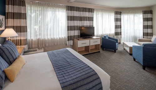 Executive Studio Suite, 1 King Bed with Sofa bed, Refrigerator & Microwave, Ground Floor