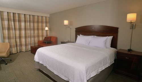 Room, 1 King Bed, Non Smoking