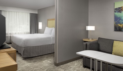 Suite, 1 King Bed with Sofa bed (Mobility/Hearing Access, Roll-in Shwr)